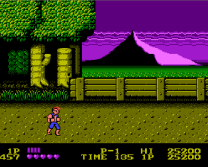 double dragon mountains on nes